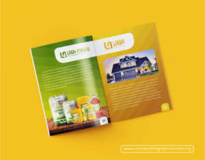 Lash company profile design - Mubasshir Graphics - Graphic and Web Design Studio in Gombe, Nigeria